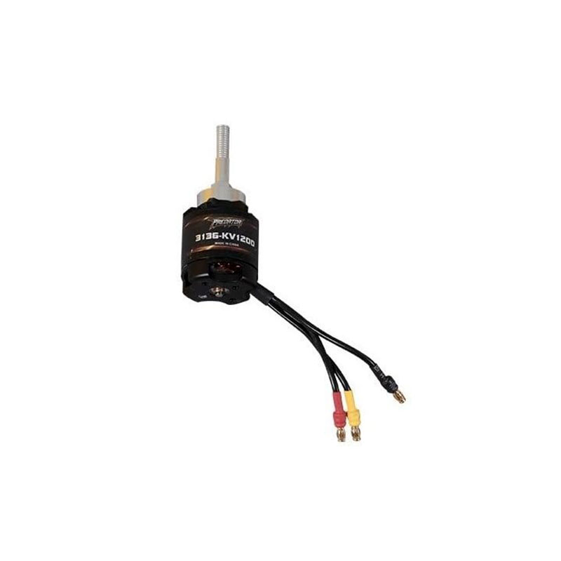 FMS 3136 KV1200 Plane Motor, product image from Kiwiquads