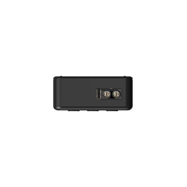 ISDT 608PD DC 240W Smart Charger with DC/USB Input - Image 4