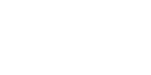 kiwiquads white logo